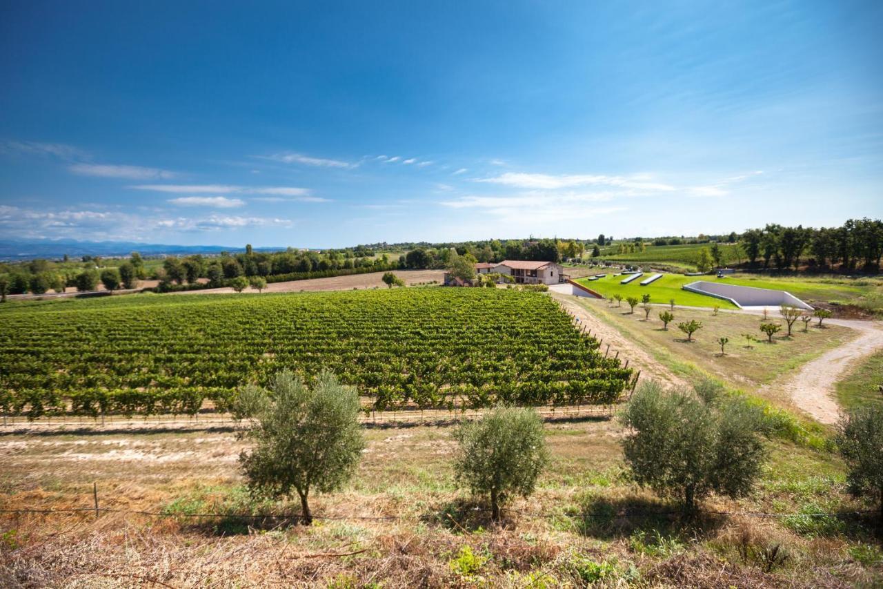 Cobue "Wine Resort & Spa" ปอสโซเลงโก ภายนอก รูปภาพ