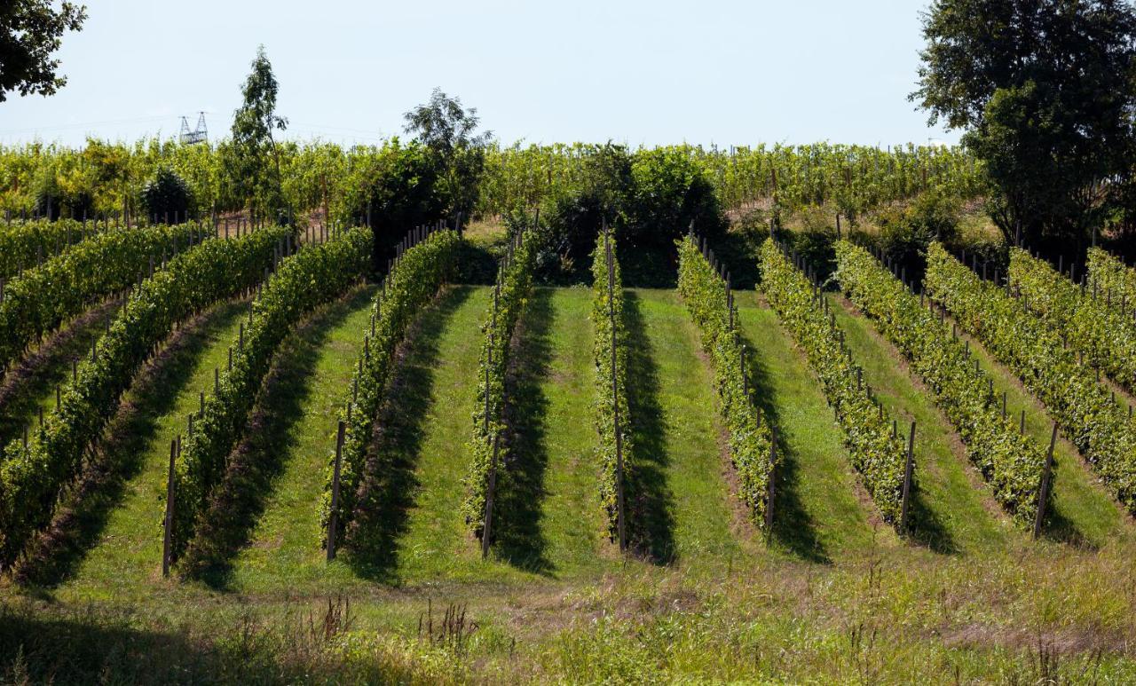 Cobue "Wine Resort & Spa" ปอสโซเลงโก ภายนอก รูปภาพ